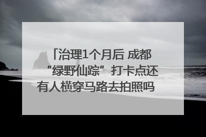 治理1个月后 成都“绿野仙踪”打卡点还有人横穿马路去拍照吗？｜民情瞭望