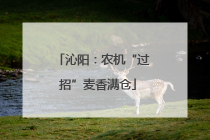 沁阳：农机“过招”麦香满仓