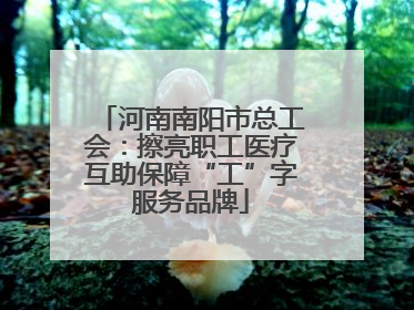 河南南阳市总工会：擦亮职工医疗互助保障“工”字服务品牌