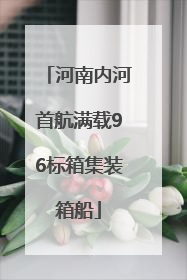 河南内河首航满载96标箱集装箱船