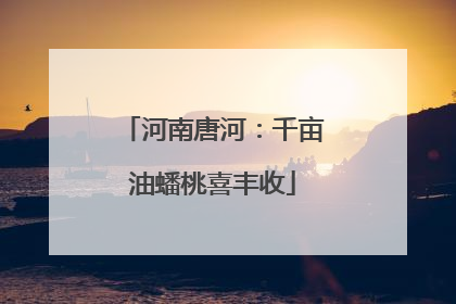 河南唐河：千亩油蟠桃喜丰收