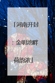 河南开封：金明池畔荷韵浓