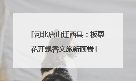 河北唐山迁西县：板栗花开飘香文旅新画卷
