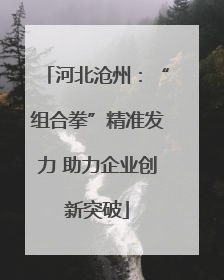 河北沧州：“组合拳”精准发力 助力企业创新突破