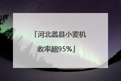 河北蠡县小麦机收率超95%