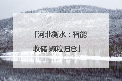 河北衡水：智能收储 颗粒归仓