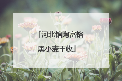 河北馆陶富铬黑小麦丰收