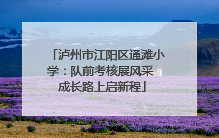 泸州市江阳区通滩小学：队前考核展风采 成长路上启新程