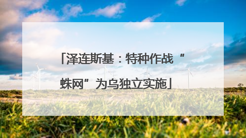 泽连斯基：特种作战“蛛网”为乌独立实施