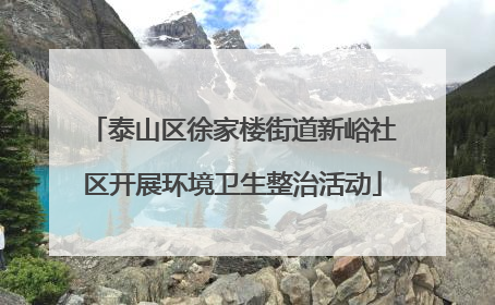 泰山区徐家楼街道新峪社区开展环境卫生整治活动
