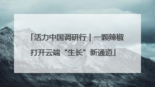 活力中国调研行｜一颗辣椒打开云端“生长”新通道