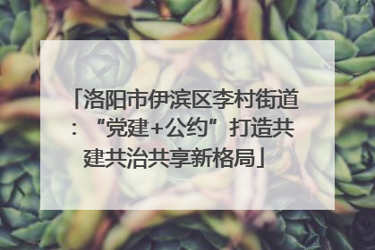 洛阳市伊滨区李村街道：“党建+公约”打造共建共治共享新格局