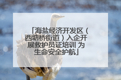 海盐经济开发区（西塘桥街道）入企开展救护员证培训 为生命安全护航