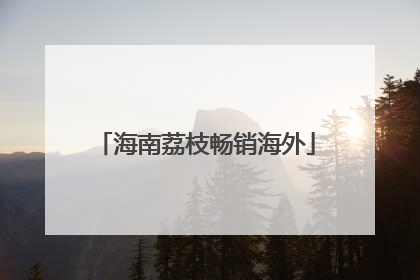 海南荔枝畅销海外