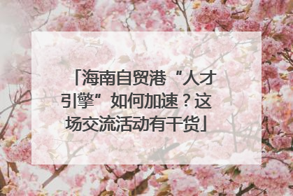 海南自贸港“人才引擎”如何加速？这场交流活动有干货