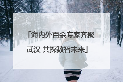 海内外百余专家齐聚武汉 共探数智未来