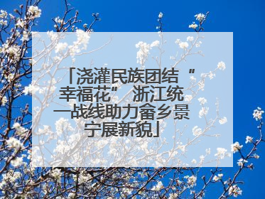 浇灌民族团结“幸福花” 浙江统一战线助力畲乡景宁展新貌