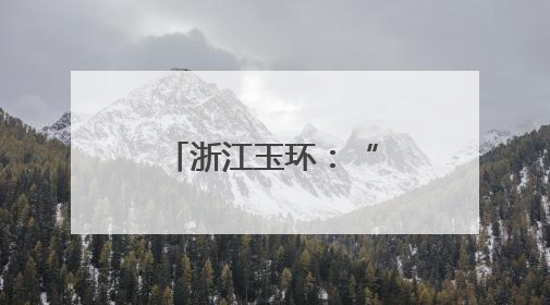 浙江玉环：“机器人军团”赋能城市管理