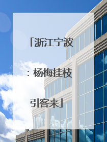 浙江宁波：杨梅挂枝引客来