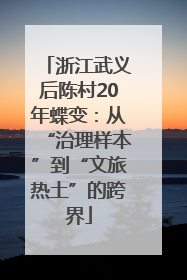 浙江武义后陈村20年蝶变：从“治理样本”到“文旅热土”的跨界