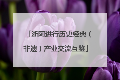 浙阿进行历史经典（非遗）产业交流互鉴