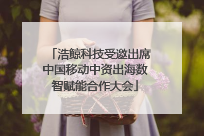 浩鲸科技受邀出席中国移动中资出海数智赋能合作大会