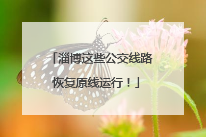 淄博这些公交线路恢复原线运行！