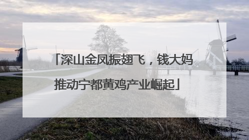 深山金凤振翅飞，钱大妈推动宁都黄鸡产业崛起