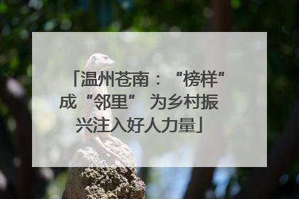 温州苍南：“榜样”成“邻里” 为乡村振兴注入好人力量