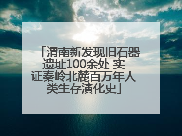 渭南新发现旧石器遗址100余处 实证秦岭北麓百万年人类生存演化史