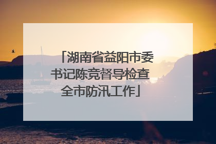 湖南省益阳市委书记陈竞督导检查全市防汛工作