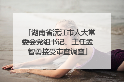 湖南省沅江市人大常委会党组书记、主任孟智勇接受审查调查