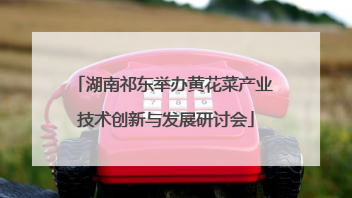 湖南祁东举办黄花菜产业技术创新与发展研讨会