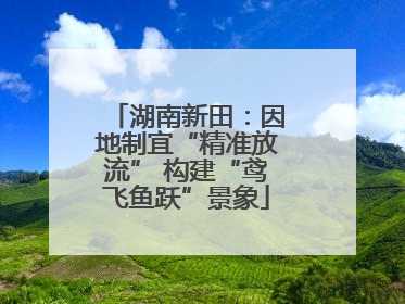 湖南新田：因地制宜“精准放流” 构建“鸢飞鱼跃”景象
