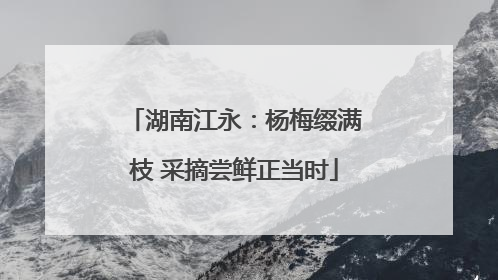 湖南江永：杨梅缀满枝 采摘尝鲜正当时