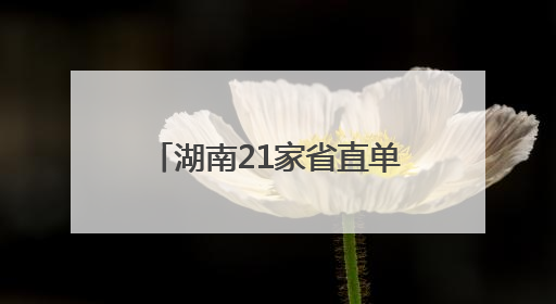 湖南21家省直单位爱心妈妈牵手结对30名流动儿童！