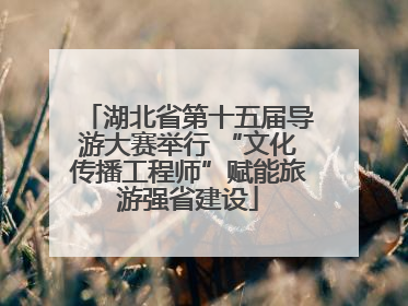 湖北省第十五届导游大赛举行 “文化传播工程师”赋能旅游强省建设