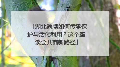 湖北简牍如何传承保护与活化利用？这个座谈会共商新路径