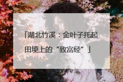 湖北竹溪：金叶子托起田埂上的“致富经”