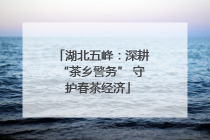 湖北五峰：深耕“茶乡警务” 守护春茶经济