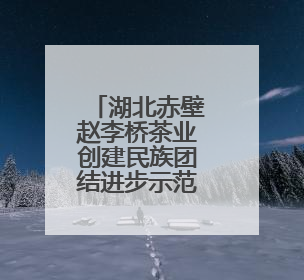 湖北赤壁赵李桥茶业创建民族团结进步示范企业