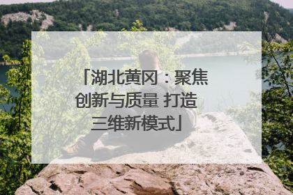 湖北黄冈：聚焦创新与质量 打造三维新模式