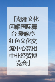 湖湘文化闪耀国际舞台 爱晚亭红色文化交流中心亮相中非经贸博览会