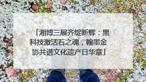 湘博三展齐绽新辉：黑科技激活石之魂，翰墨金影共谱文化遗产日华章