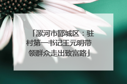 漯河市郾城区：驻村第一书记王元明带领群众走出致富路