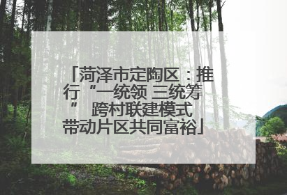 菏泽市定陶区：推行“一统领 三统筹” 跨村联建模式 带动片区共同富裕