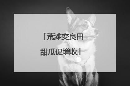 荒滩变良田 甜瓜促增收