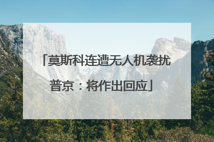 莫斯科连遭无人机袭扰 普京：将作出回应