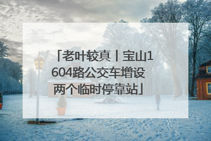 老叶较真丨宝山1604路公交车增设两个临时停靠站