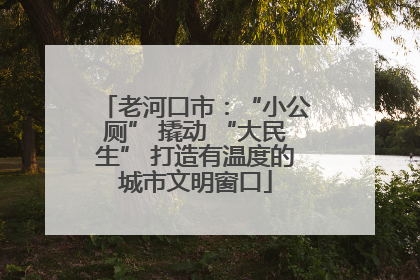 老河口市：“小公厕” 撬动 “大民生” 打造有温度的城市文明窗口